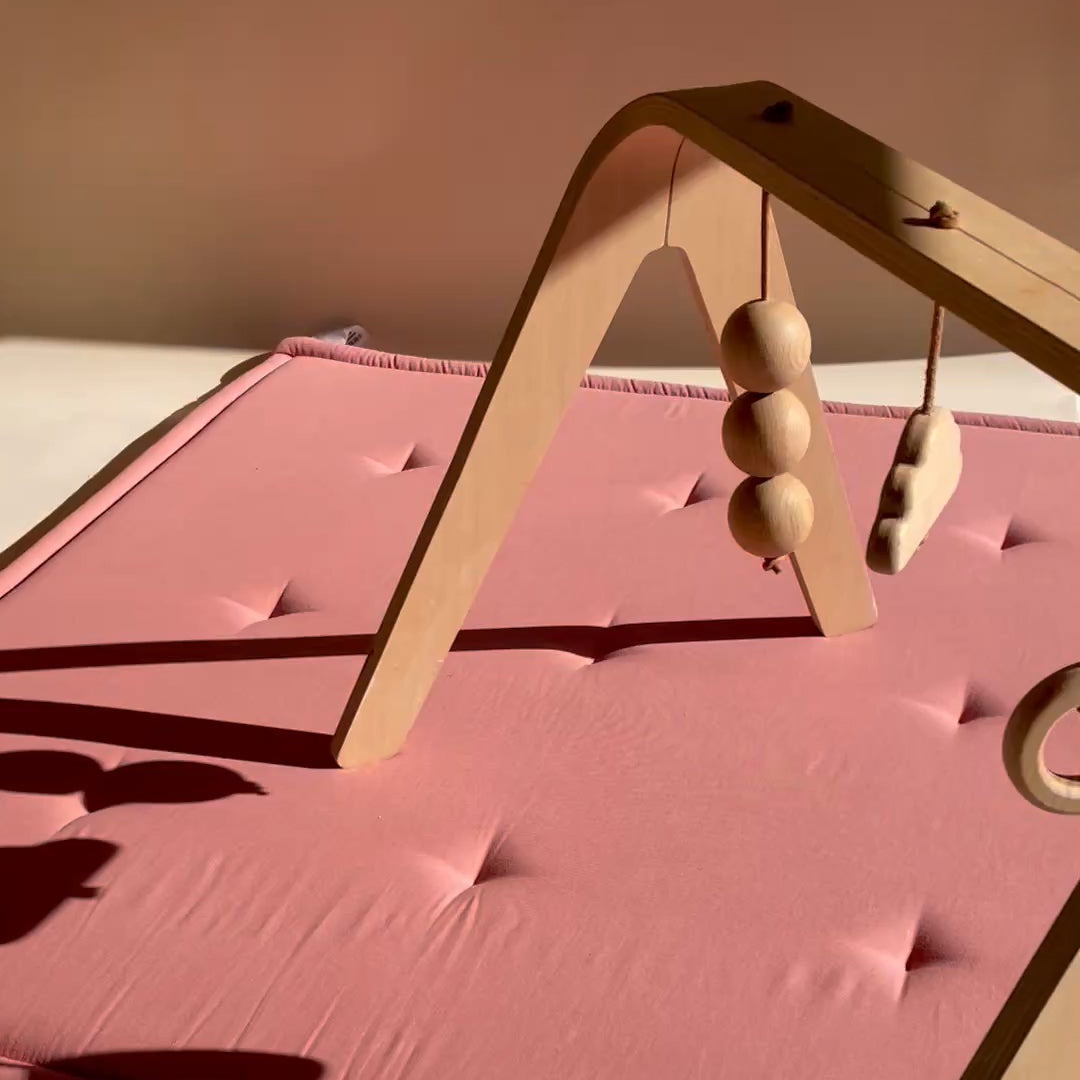 NAHO activity arch with wooden toys